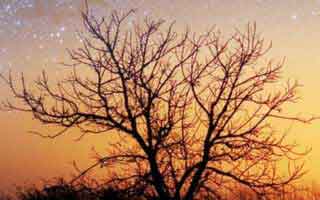 $2000 IRS Direct Deposits: The Crucial Eligibility Details You Can't Miss