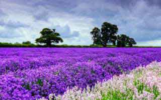 Cryptocurrency Market Analysis: The Real Story - Discussed!