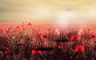 Momentum: What It Is and Why It Matters